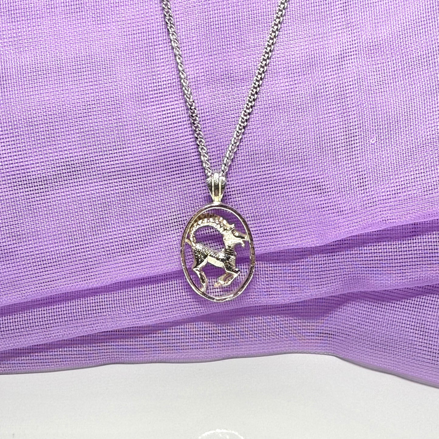 Aires Ram Zodiac Oval Necklace Sterling Silver Pendant with a chain