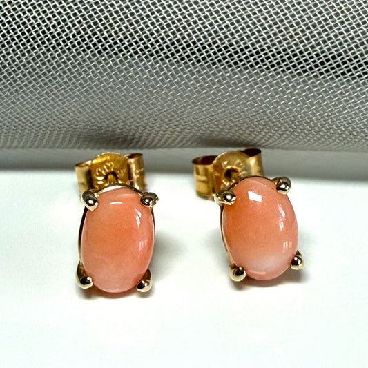 A pair of real coral oval shaped stud earrings yellow gold