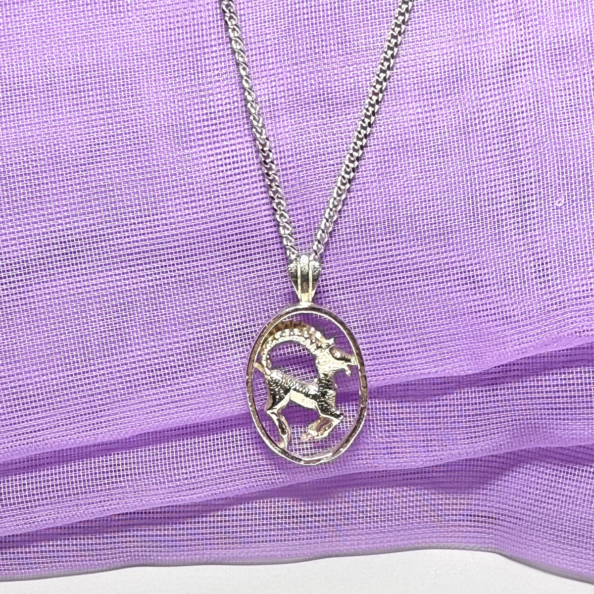 Aires Ram Zodiac Oval Necklace Sterling Silver Pendant with a chain