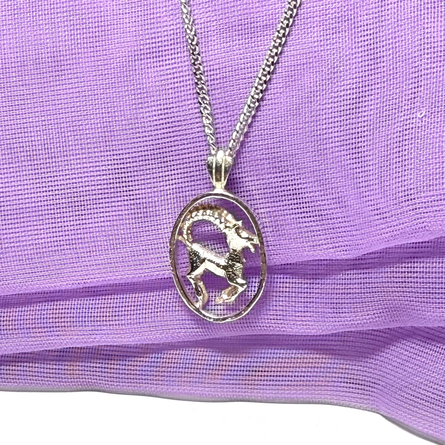 Aires Ram Zodiac Oval Necklace Sterling Silver Pendant