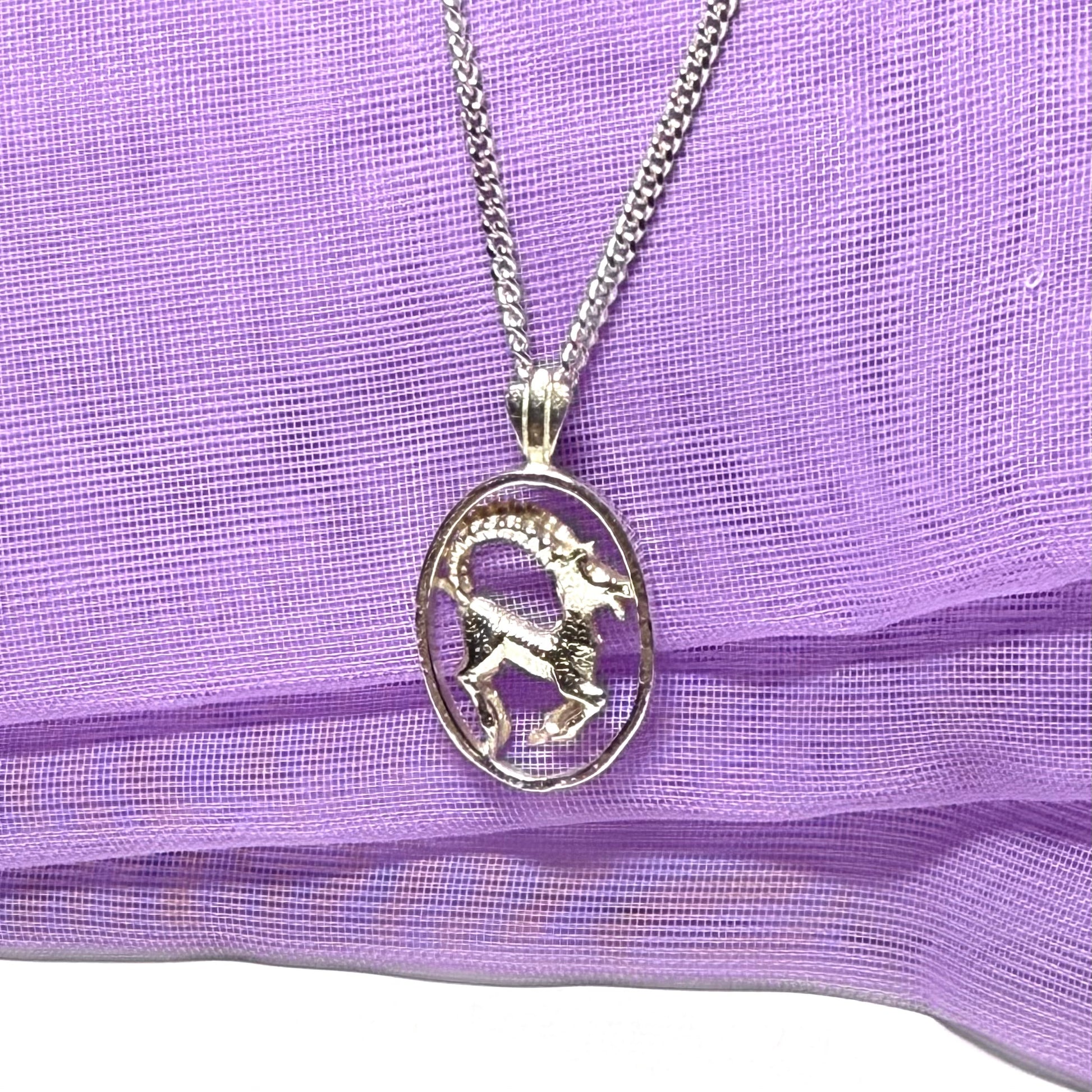Aires Ram Zodiac Oval Necklace Sterling Silver Pendant
