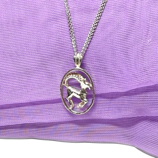 Aires Ram Zodiac Oval Necklace Sterling Silver Pendant