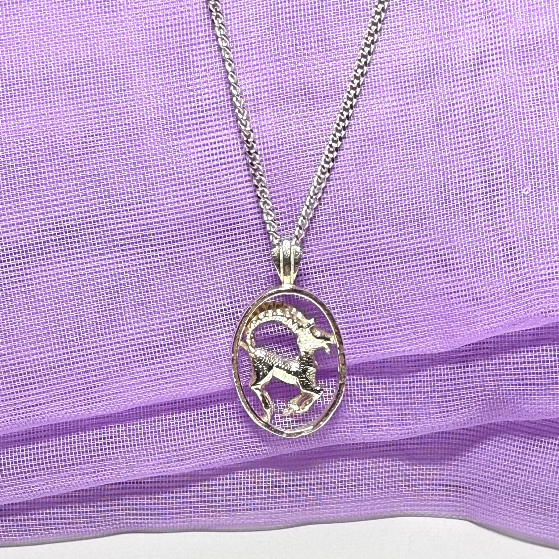 Aires Ram Zodiac Oval Necklace Sterling Silver Pendant with a chain