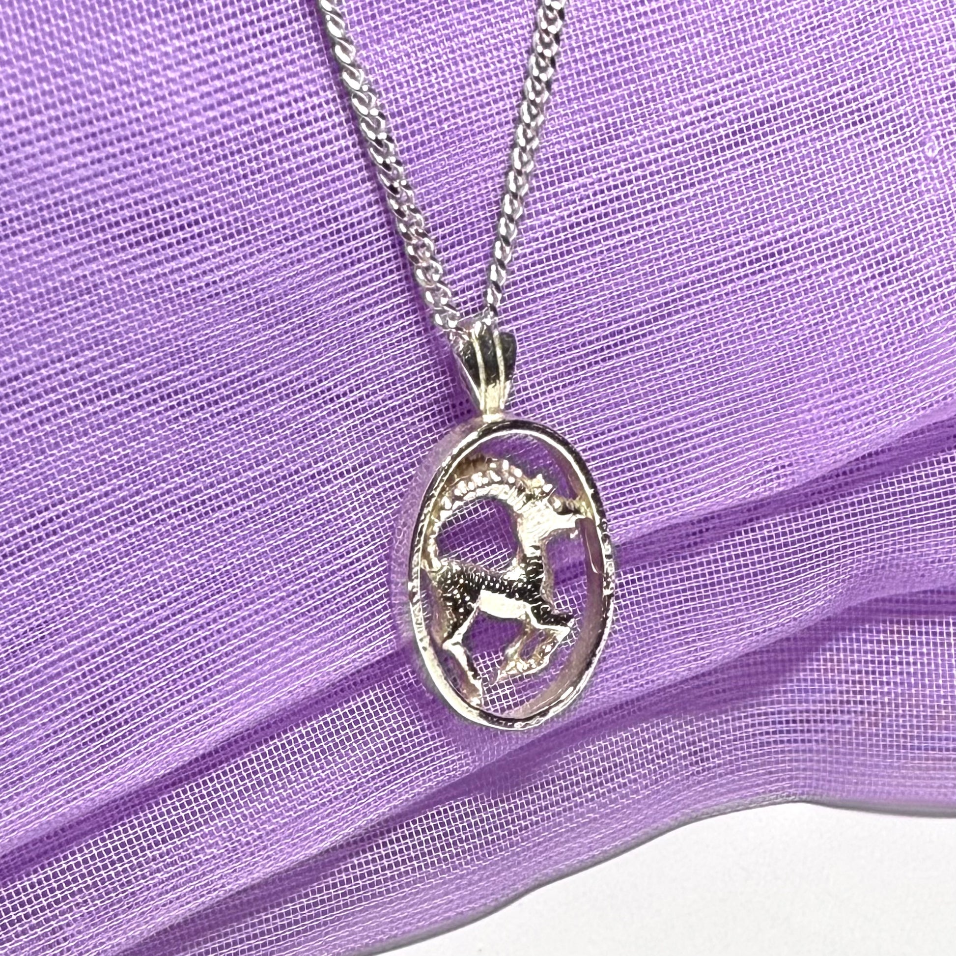 Aires Ram Zodiac Oval Necklace Sterling Silver Pendant