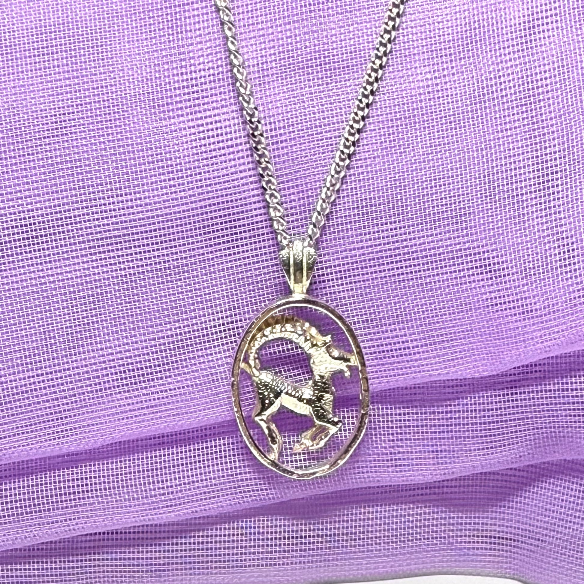 Aires Ram Zodiac Oval Necklace Sterling Silver Pendant with a chain