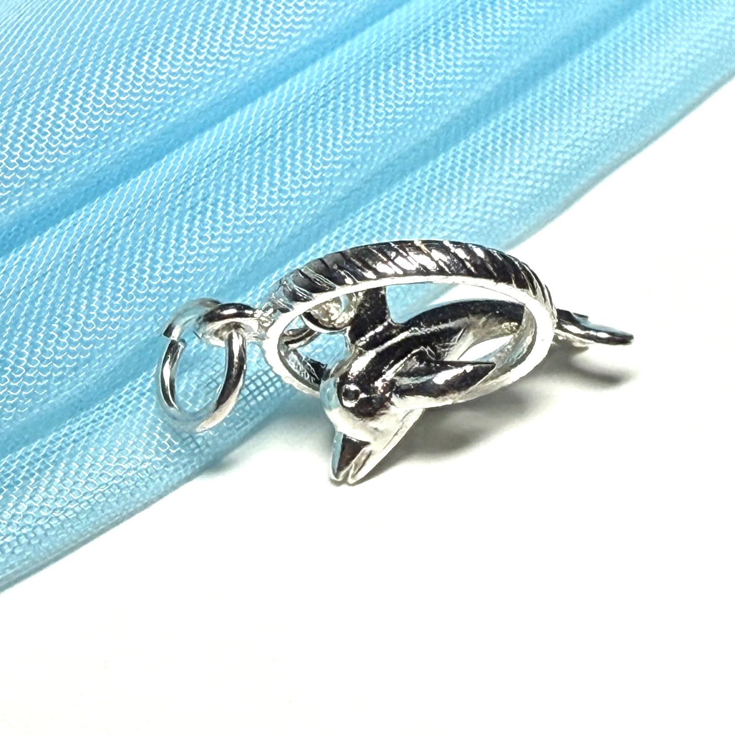 Dolphin Performing Though Hoop Sterling Silver Charm