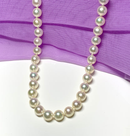 Cultured pearl single row necklace