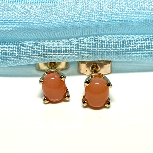 Oval shaped real coral stud earrings yellow gold four claw set