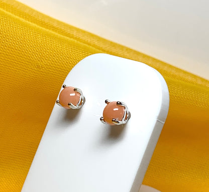 Real coral white gold round claw set stud earrings