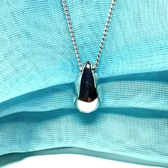 Memorial ashes necklace solid sterling silver teardrop shaped pendant including chain