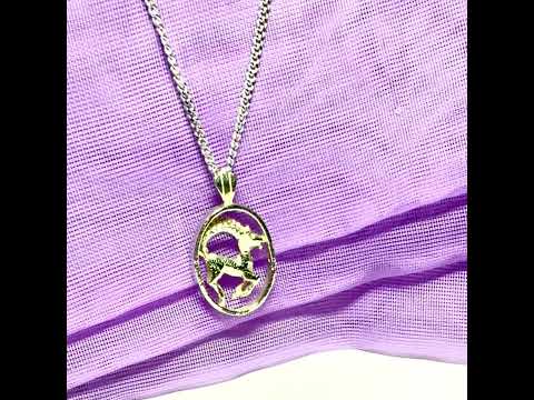 Video of an Aires Ram Zodiac Oval Necklace Sterling Silver Pendant with a chain