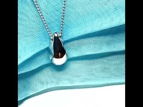 Memorial ashes necklace solid sterling silver teardrop shaped pendant including chain
